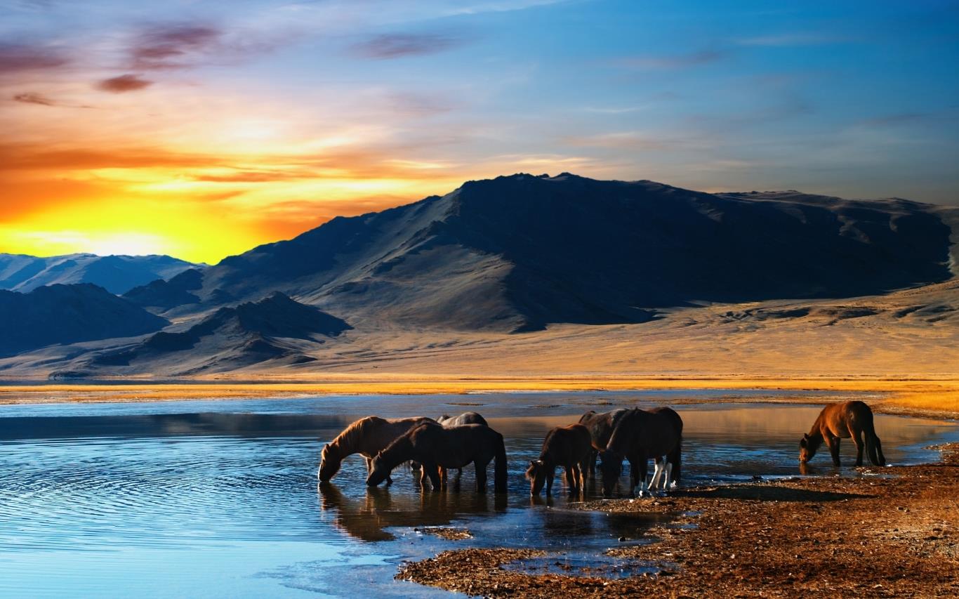 Những địa danh đẹp mê hồn ở Mông Cổ | VIETRAVEL