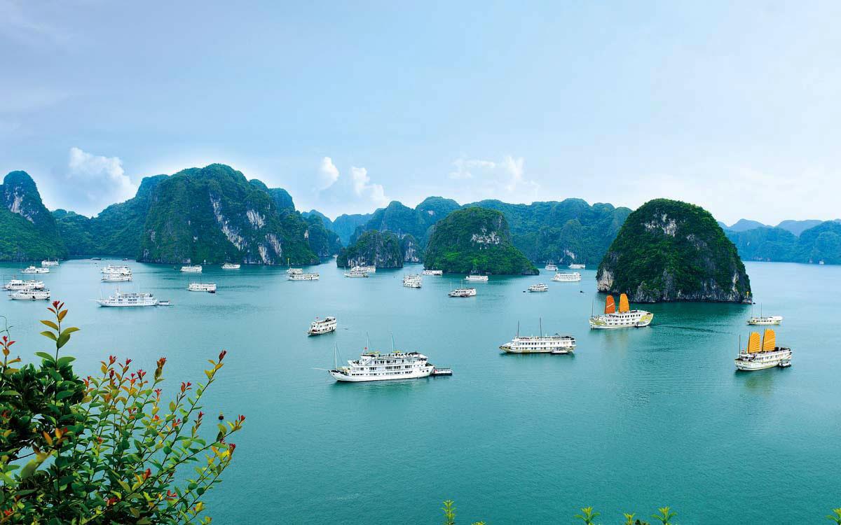 Ngất ngây trước vẻ đẹp của bờ biển Việt Nam | VIETRAVEL