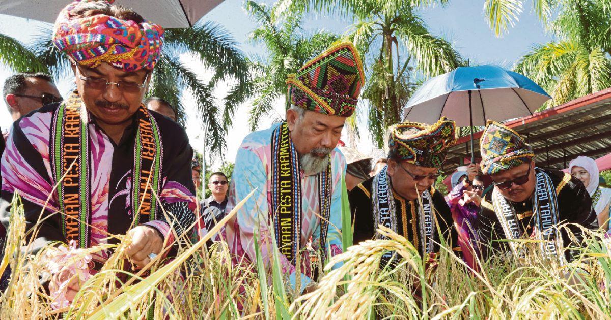 Lễ hội thu hoạch Tadau Ka’amatan