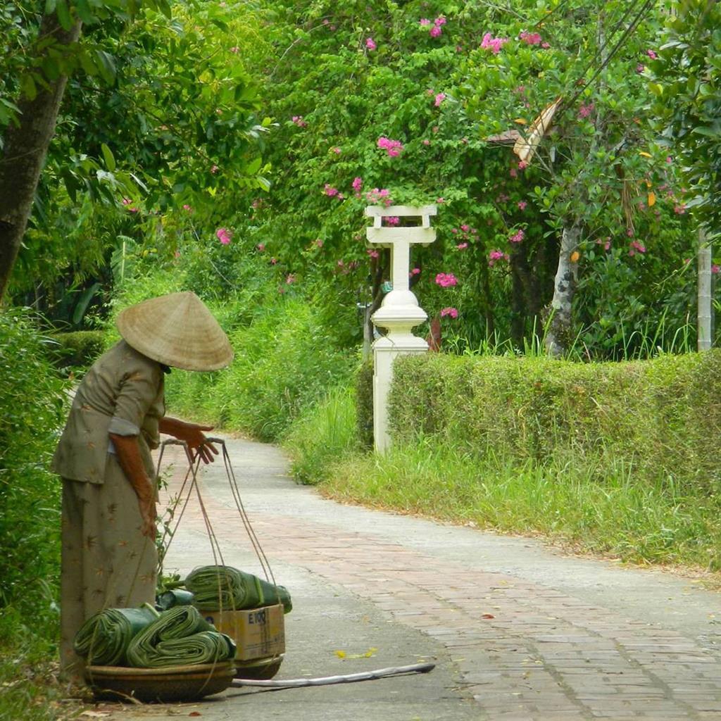 Phước Tích là địa điểm du lịch Huế mang đậm chất làng quê xưa