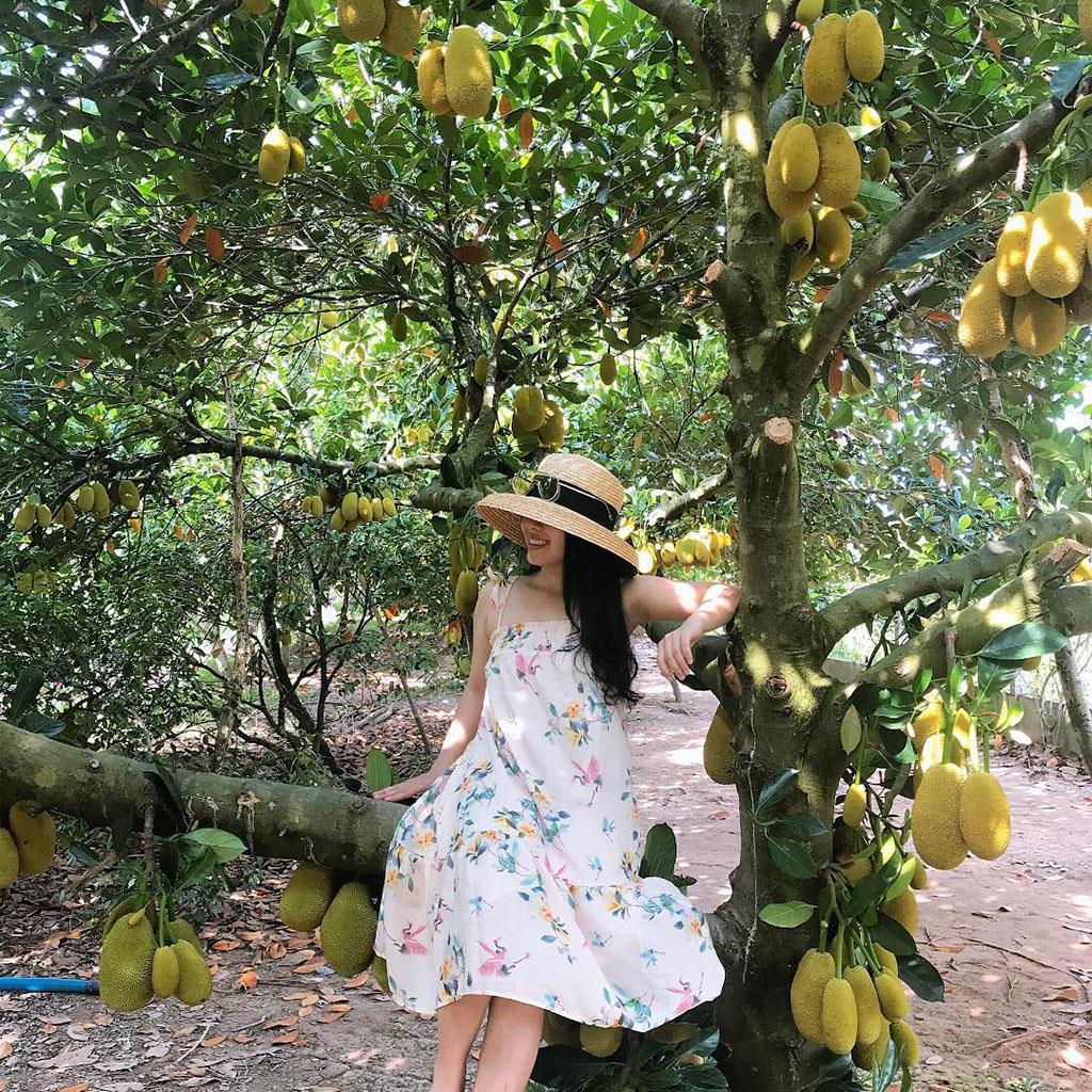 Vườn trái cây Cái Bè, Tiền Giang