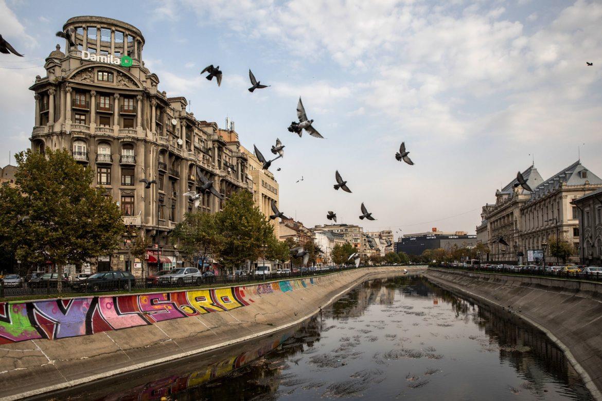 Bucharest (Romania) 