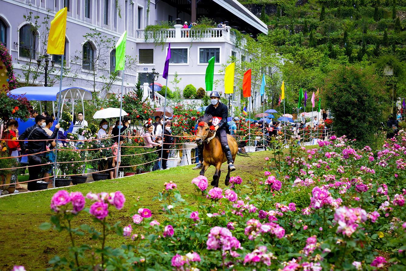 Vẻ đẹp ngọt ngào của vườn hoa hồng ở khu du lịch Sun World Fansipan Legend