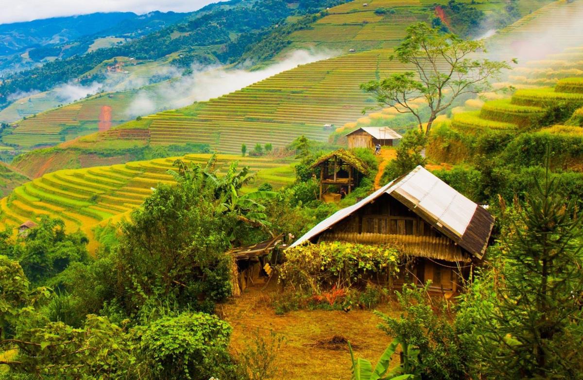 "Mùa vàng" về trên ruộng bậc thang - Khung cảnh mùa thu đẹp nhất ở Việt Nam