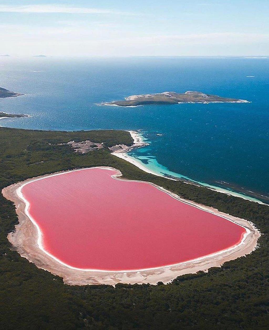 Hồ Hillier - Hồ nước màu hồng đầy quyến rũ 
