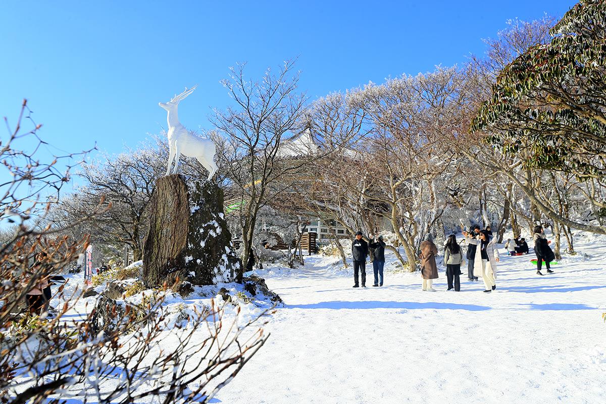 Ngắm khung cảnh lãng mạn của đảo Jeju trong mùa đông