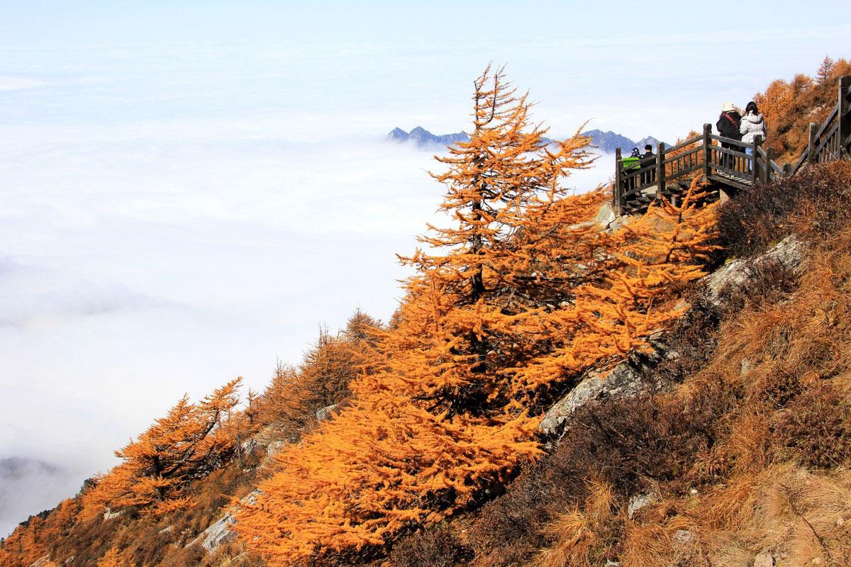 Mount Emei (Núi Nga Mi) – Ngọn núi thiêng với vẻ đẹp “hớp hồn” mọi du khách