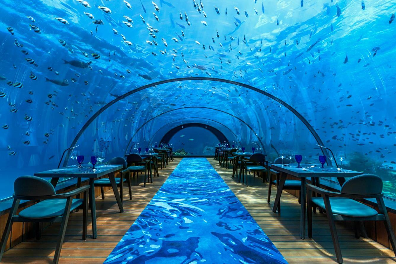 Thưởng thức món ngon tại nhà hàng dưới đáy đại dương