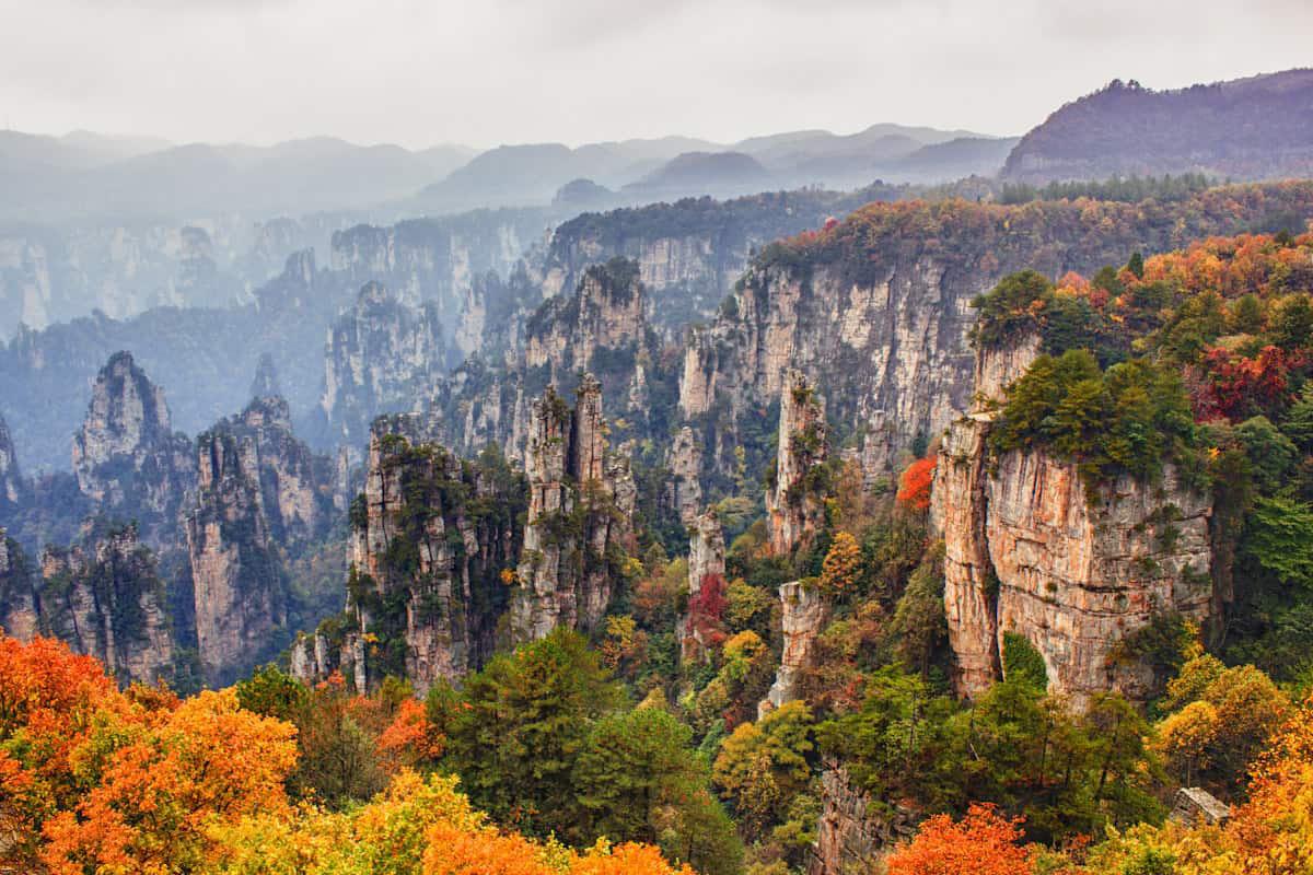 Zhangjiajie National Forest Park (Công viên rừng quốc gia Trương Gia Giới) - "Hư không trong thế giới thực"