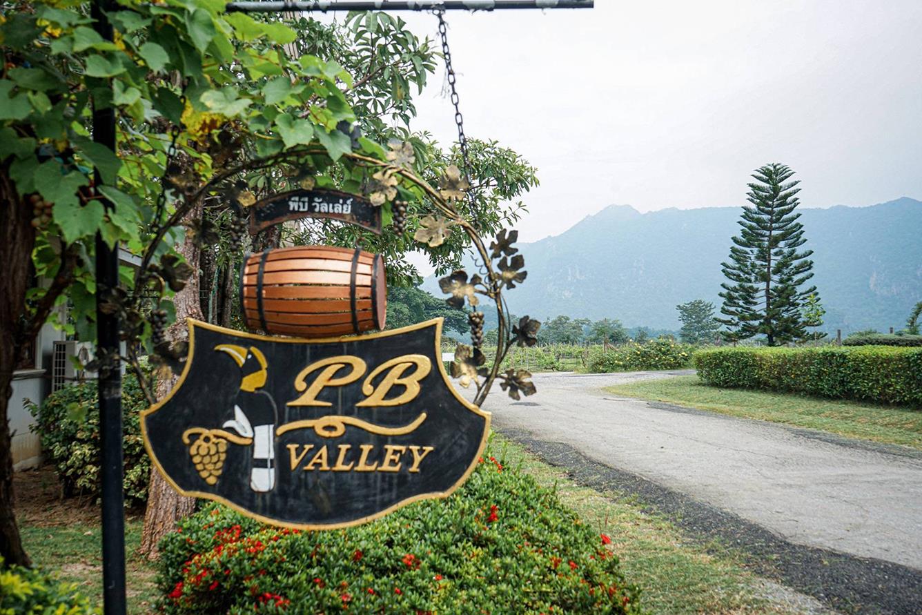 Vườn nho Khao Yai - PB Valley Khao Yai Winery