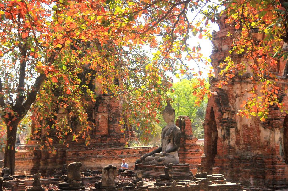 **4. Ayutthaya - Hành trình qua khoảng khắc lịch sử