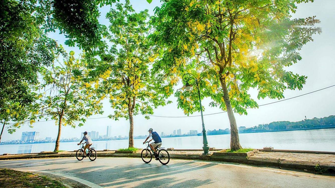 Đạp xe dạo quanh hồ ở Chuncheon