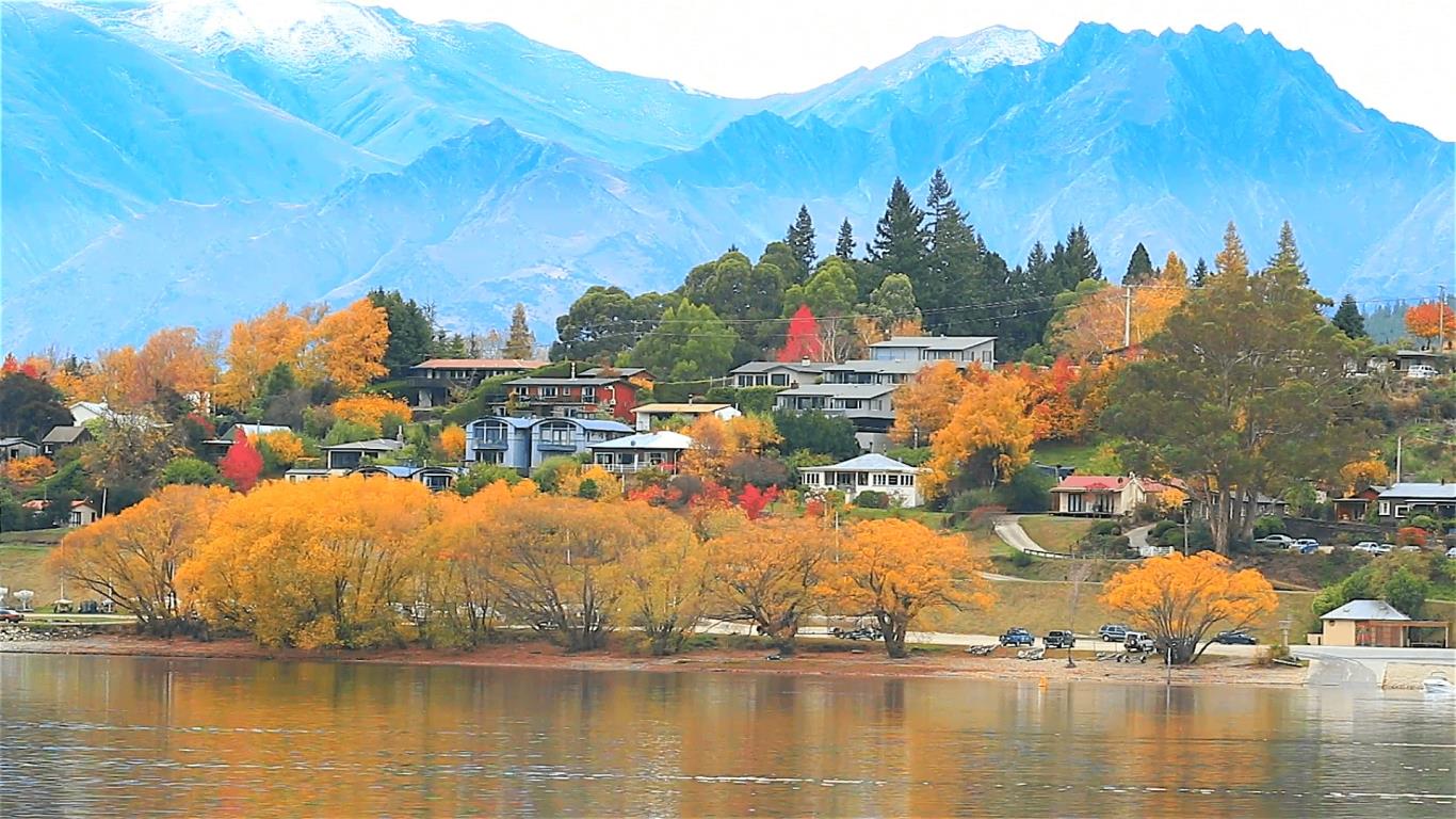 Chiêm ngưỡng New Zealand đổ vàng giữa những ngày tháng 5 | VIETRAVEL