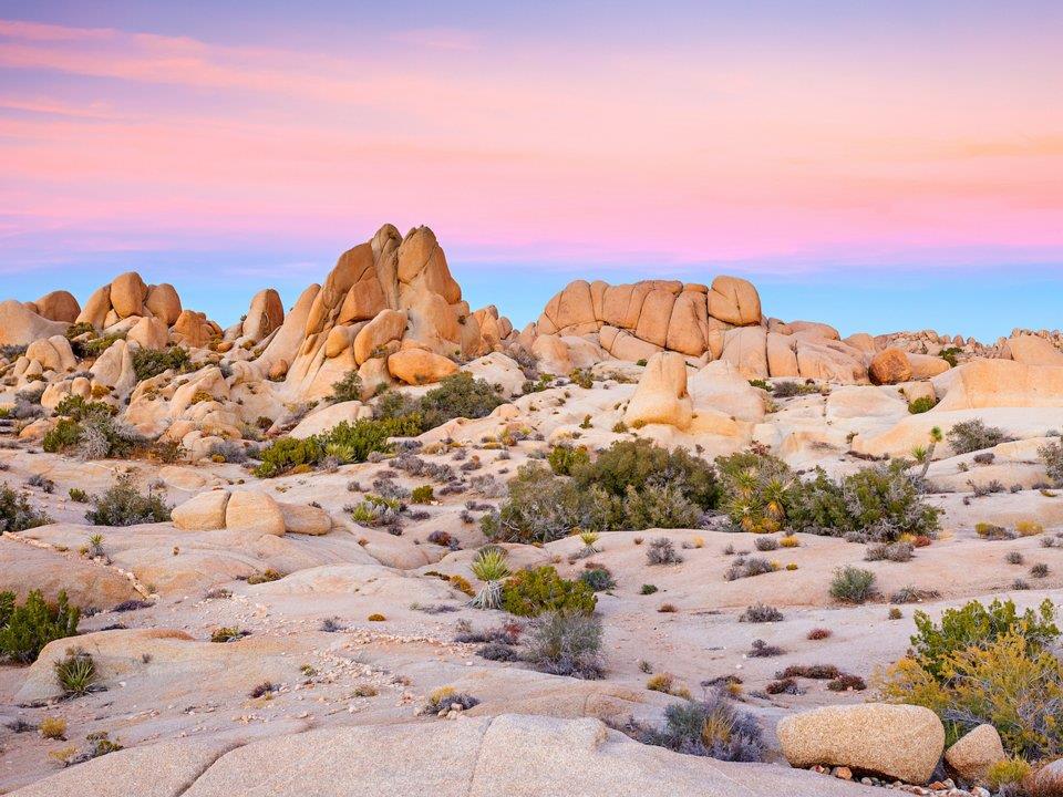  Hoang mạc Mojave – Hoa Kỳ 