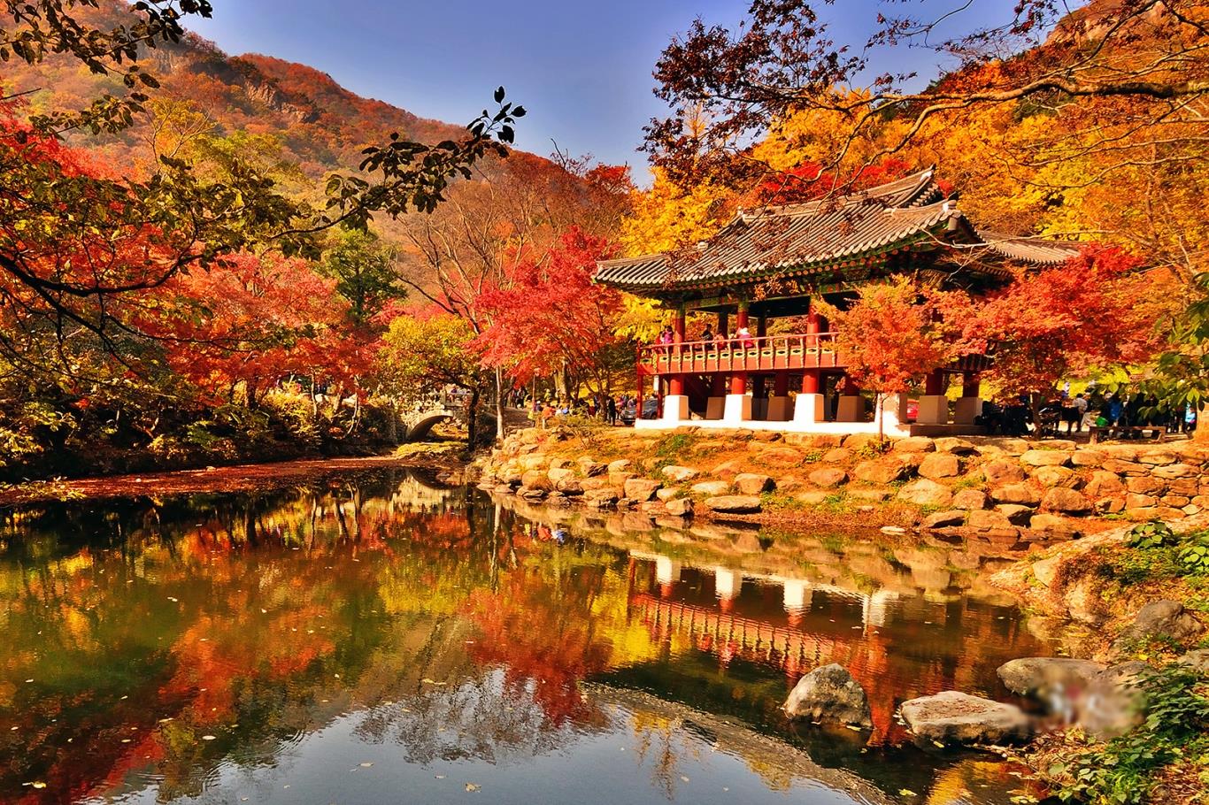 9 điểm chụp ảnh đẹp vào mùa thu ở xứ Hàn | VIETRAVEL