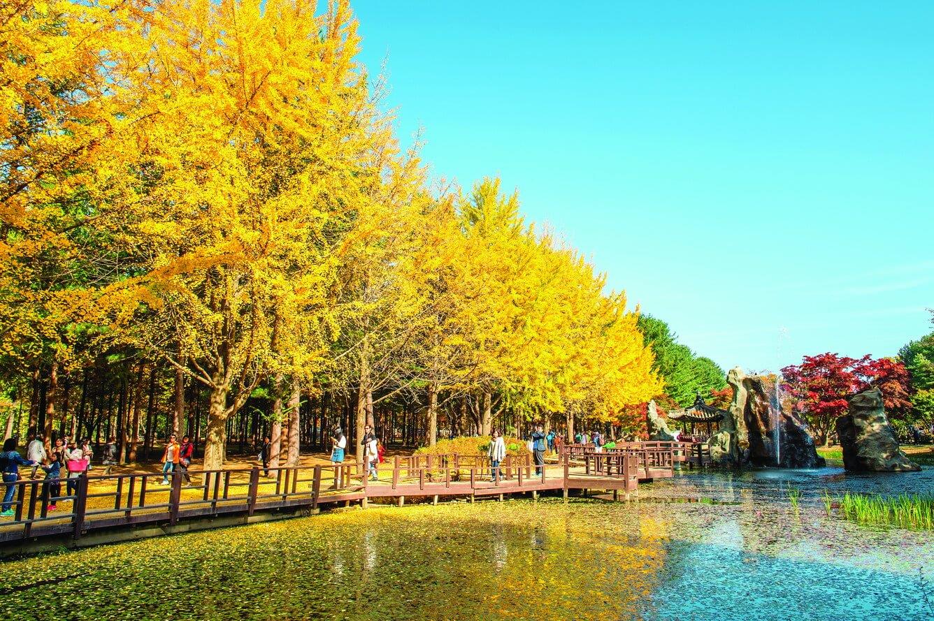 Lịch và list 20 địa điểm ngắm lá vàng lá đỏ đẹp nhất 2023 ở Hàn Quốc