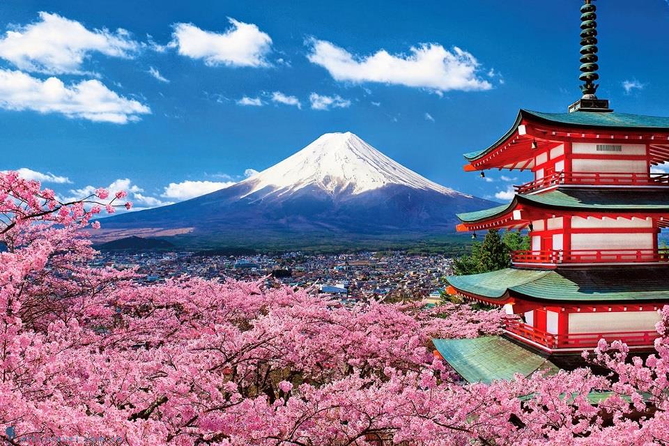 Khám phá 4 nét đẹp văn hóa - phong tục tập quán đặc trưng của Nhật Bản