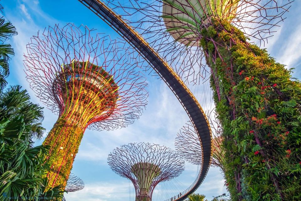 Hướng dẫn du lịch Singapore tự túc chi tiết cập nhật 2023