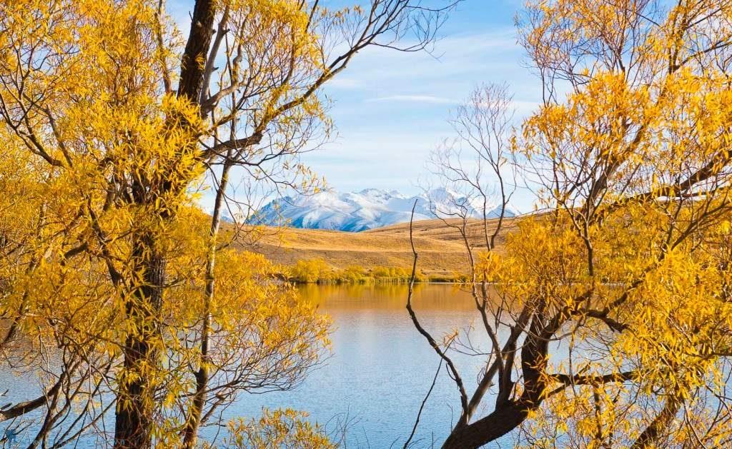 Những cung bậc mùa thu New Zealand | VIETRAVEL