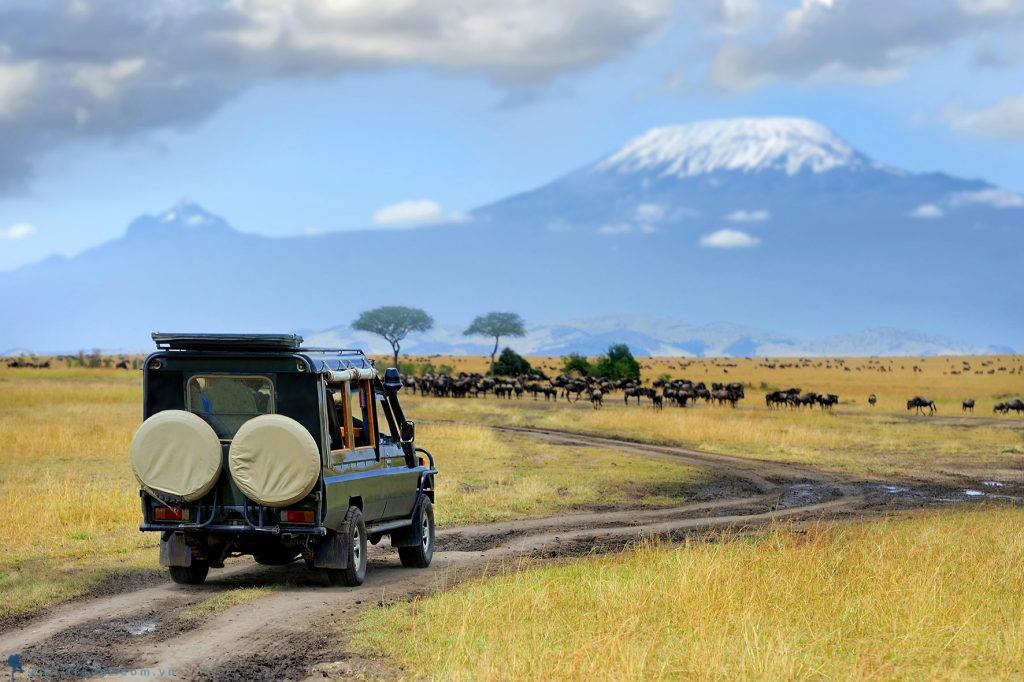 5 điều cần biết trước khi đi du lịch khám phá châu Phi