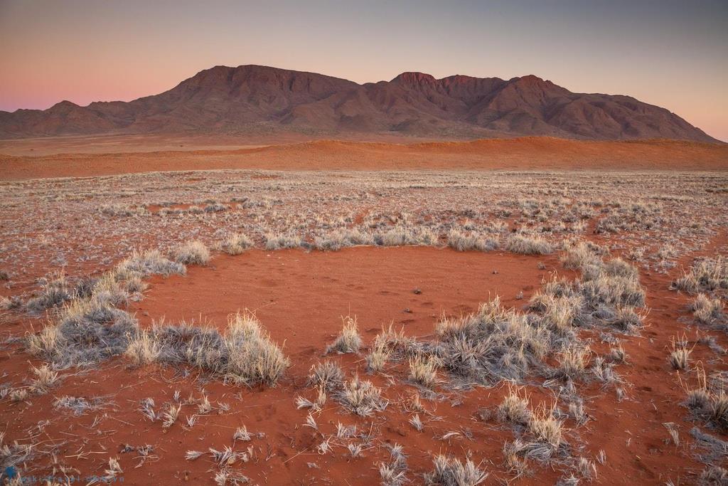 Những vòng tròn bí ẩn trong sa mạc Namib