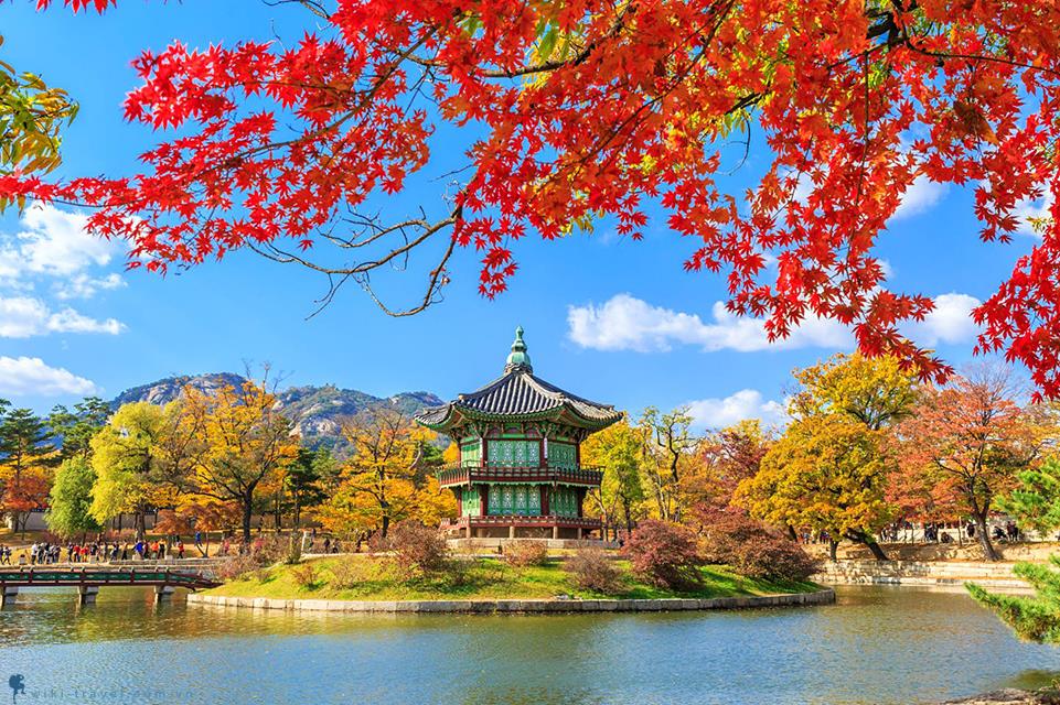Định vị tọa độ những điểm ngắm mùa thu Hàn Quốc đẹp nhất