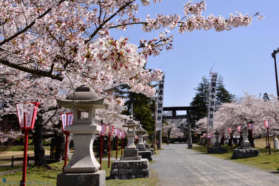 Say đắm sắc hoa anh đào tại 22 địa điểm du lịch nổi tiếng ở Fukushima - Phần 3