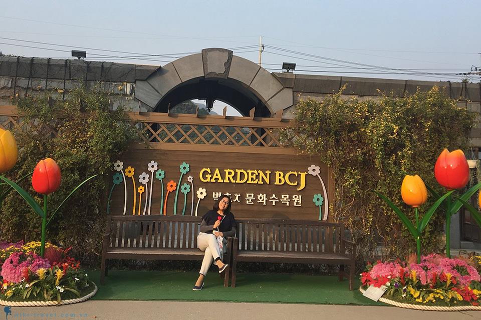 Hành trình độc đáo tại Paju Hàn Quốc - Nơi hội tụ của văn hóa và sách
