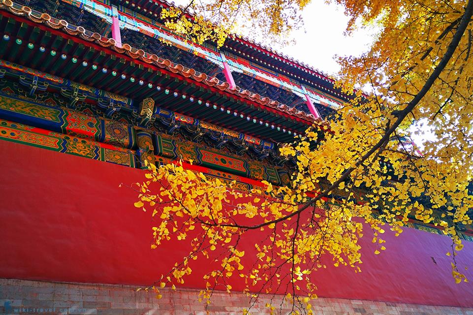 Top 6 địa điểm du lịch mùa thu tại Trung Quốc ngắm sắc màu của lá