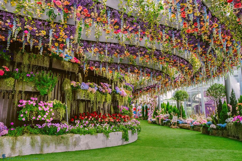 Kinh nghiệm du lịch Singapore tham quan Floral Fantasy Dome