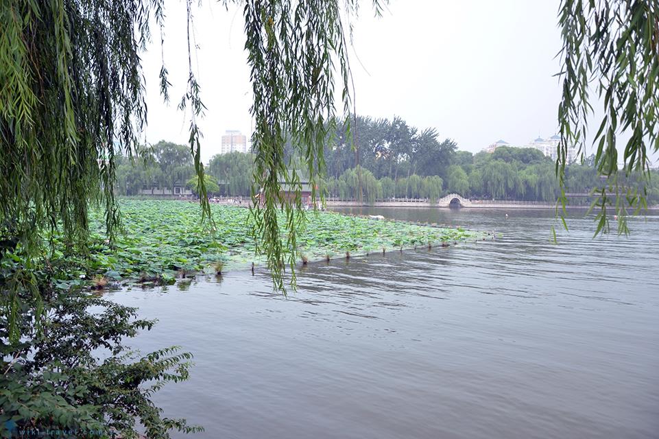 Vẻ đẹp hồ Daming ở Trung Quốc vào mùa xuân