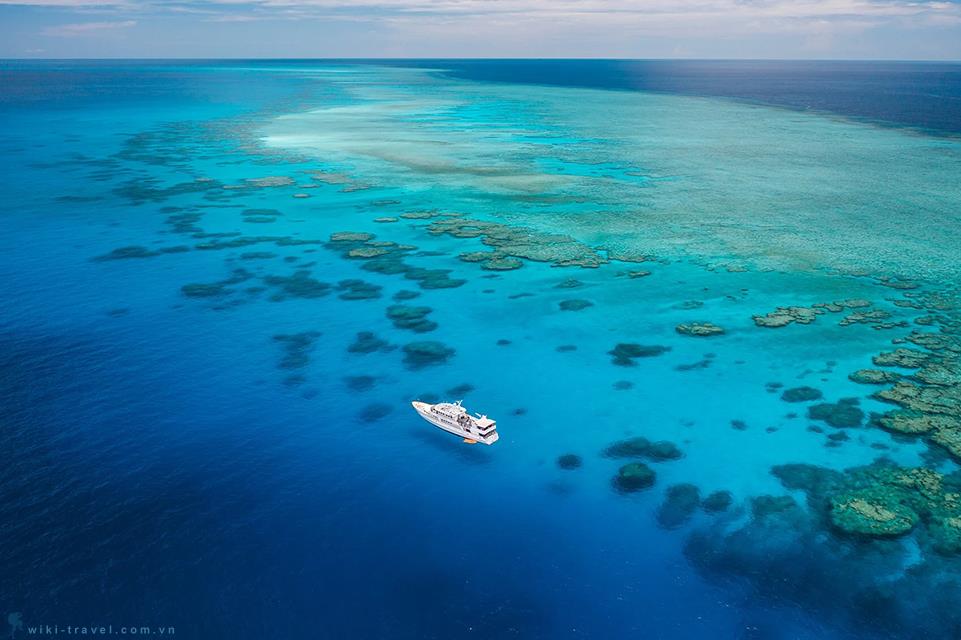 Thiên đường lặn biển mùa hè tại Úc: Khám phá đáy biển Great Barrier Reef