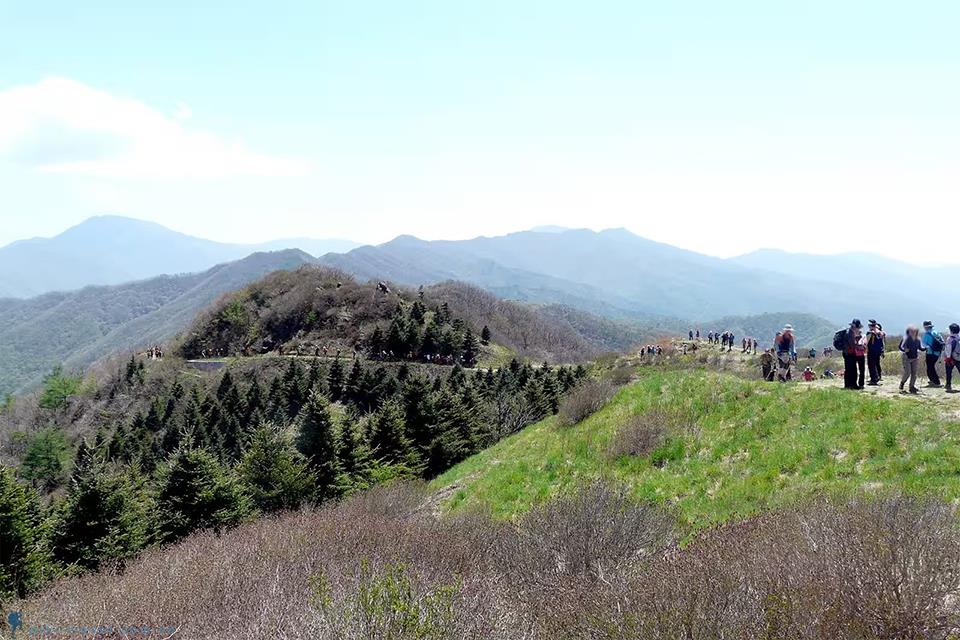 Top 6 đường mòn đi bộ Hàn Quốc ngắm cảnh tuyệt đẹp