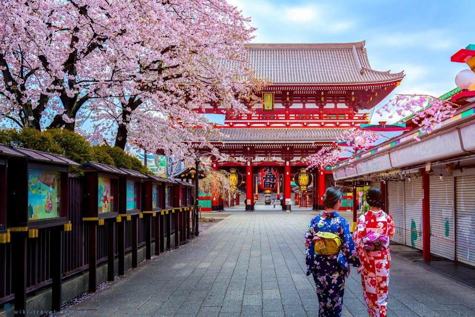 Những cung đường ngắm hoa anh đào tuyệt đẹp ở Nhật Bản