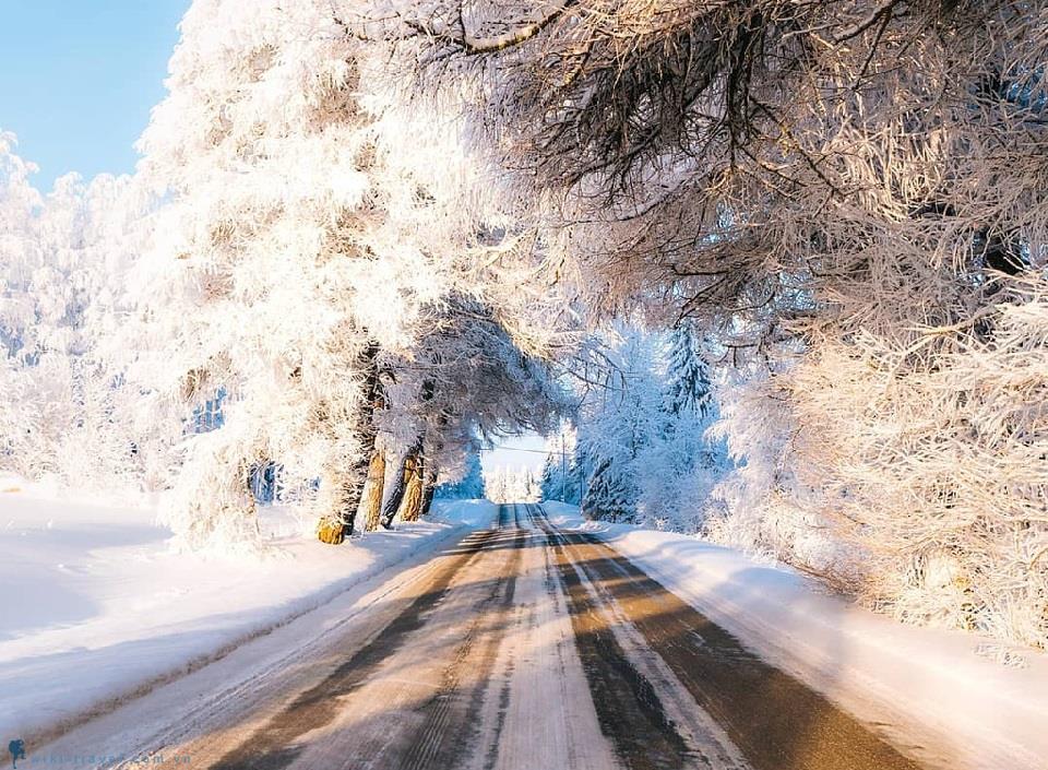 Băng qua sườn đồi Mustolanmaki dẫn tới thiên đường mùa đông