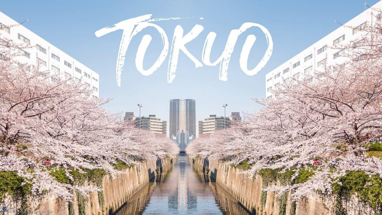 5 địa điểm đẹp như tranh vẽ ở Tokyo mùa hoa anh đào | VIETRAVEL