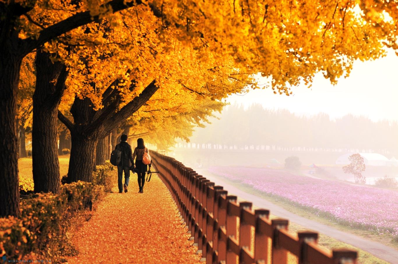 9 điểm chụp ảnh đẹp vào mùa thu ở xứ Hàn | VIETRAVEL