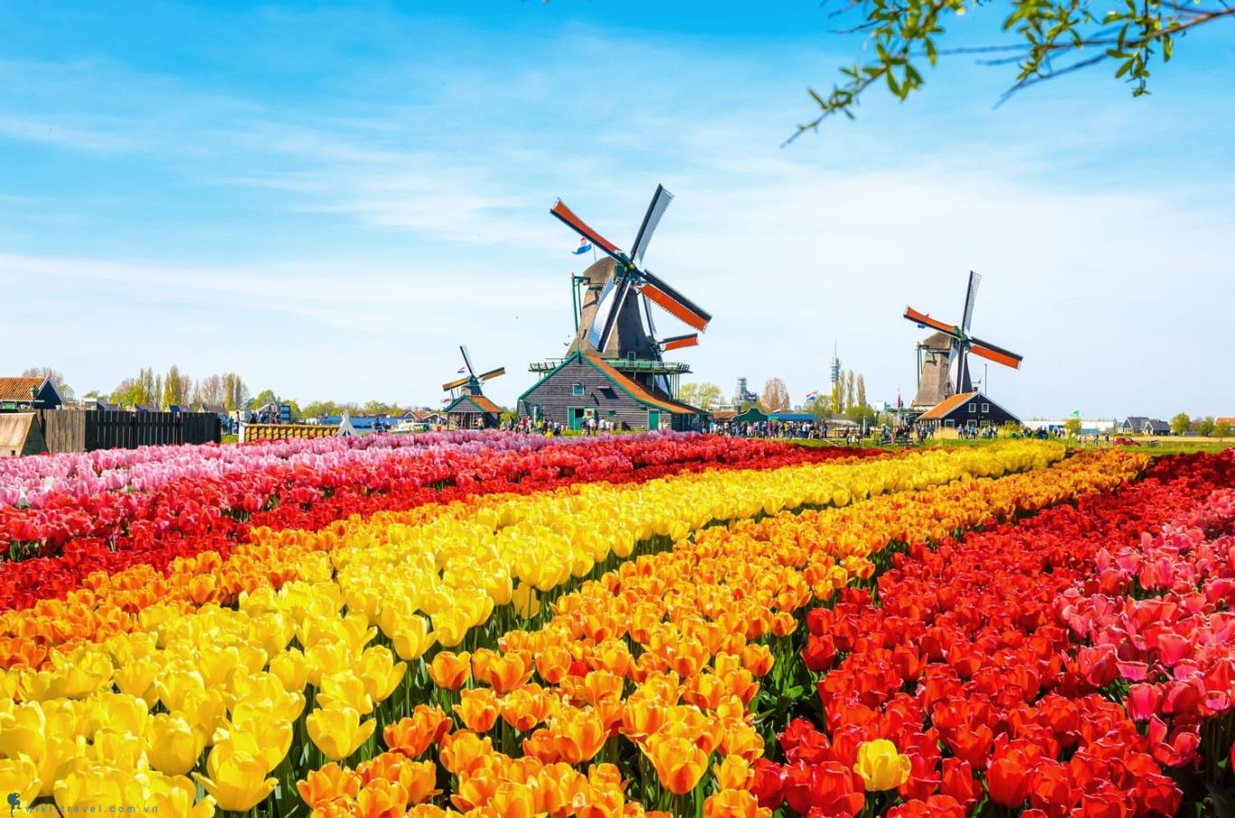 tour du lịch free & easy Hà Lan - Hà Lan