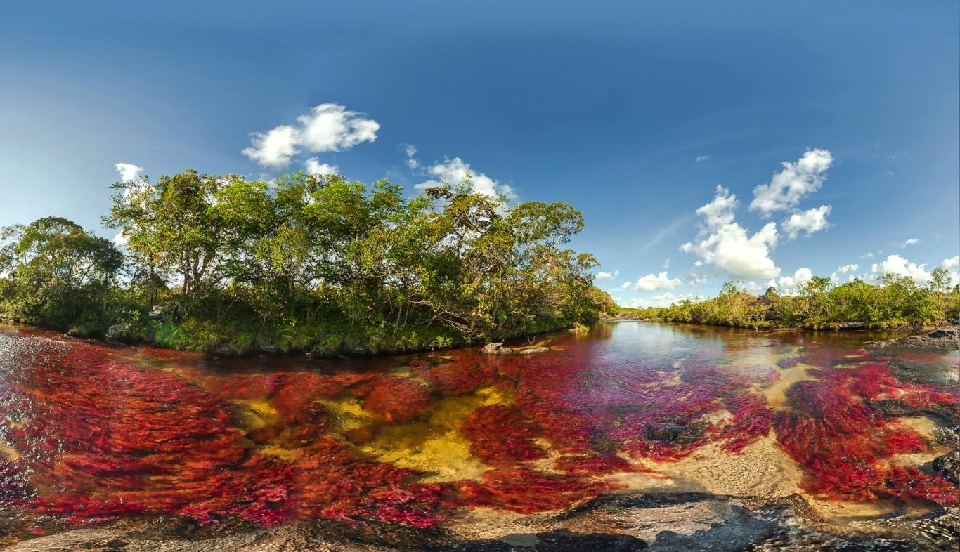 Sông Caño Cristales, Colombia