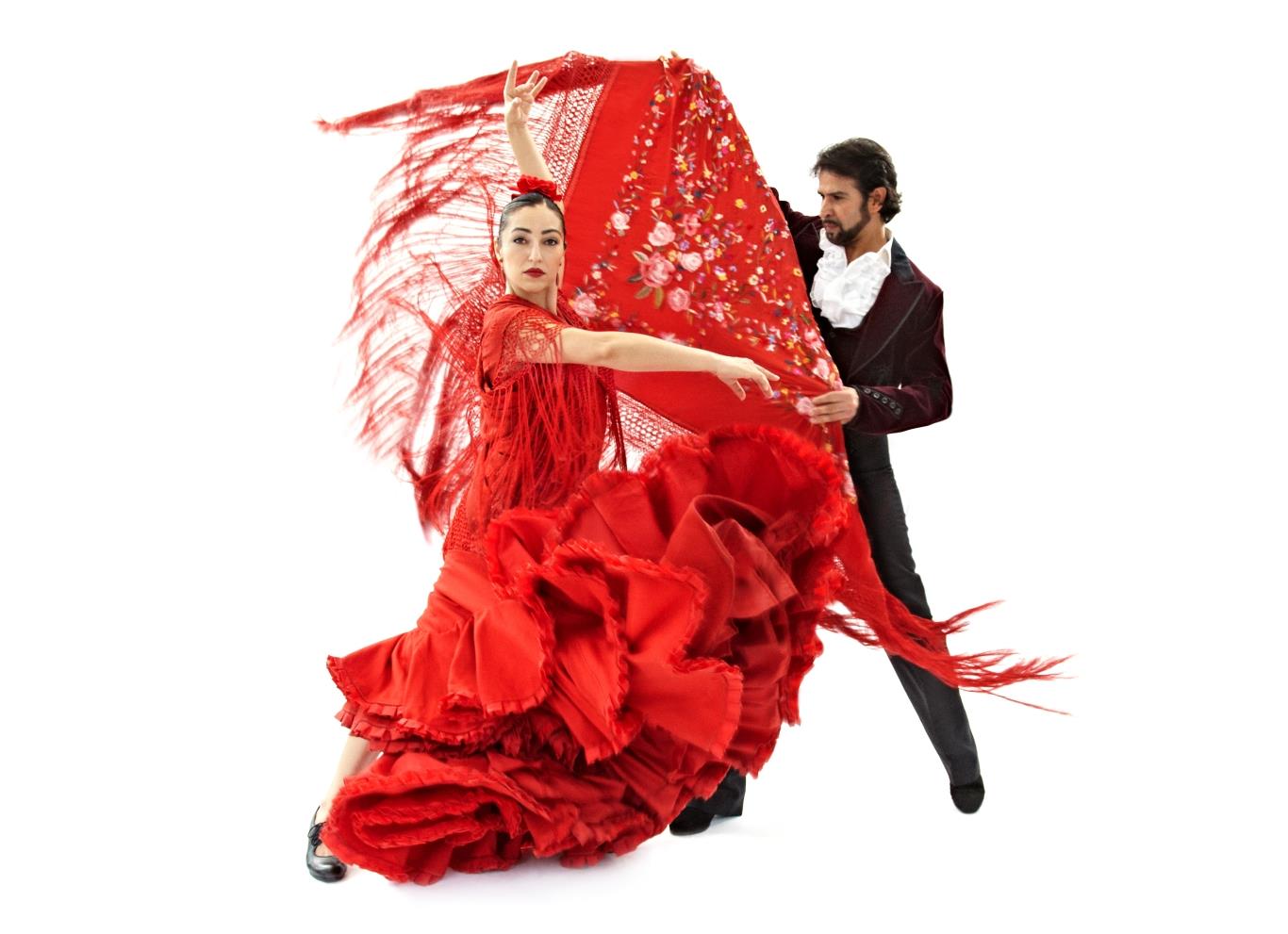 Испанский народный танец 6. Фламенко танец. Испания танец фламенко. Испанский танец Фламинго. Испанка фламенко.