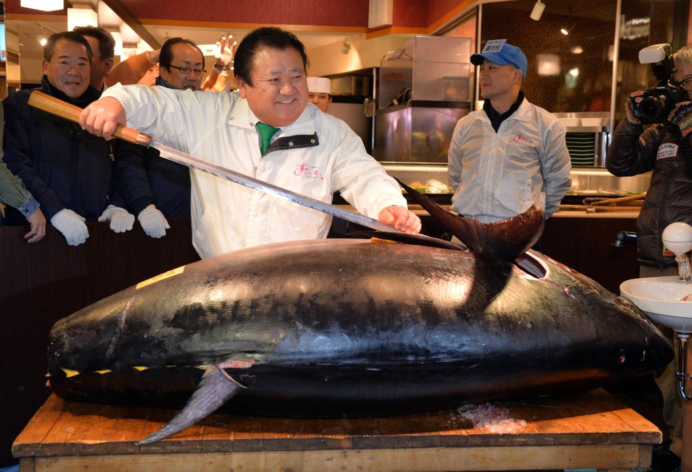Большая большая рыба большая рыба огромная. Тихоокеанский голубой тунец. Гигантский тунец рынок Япония. Большие рыбы. Гигантские рыбы.