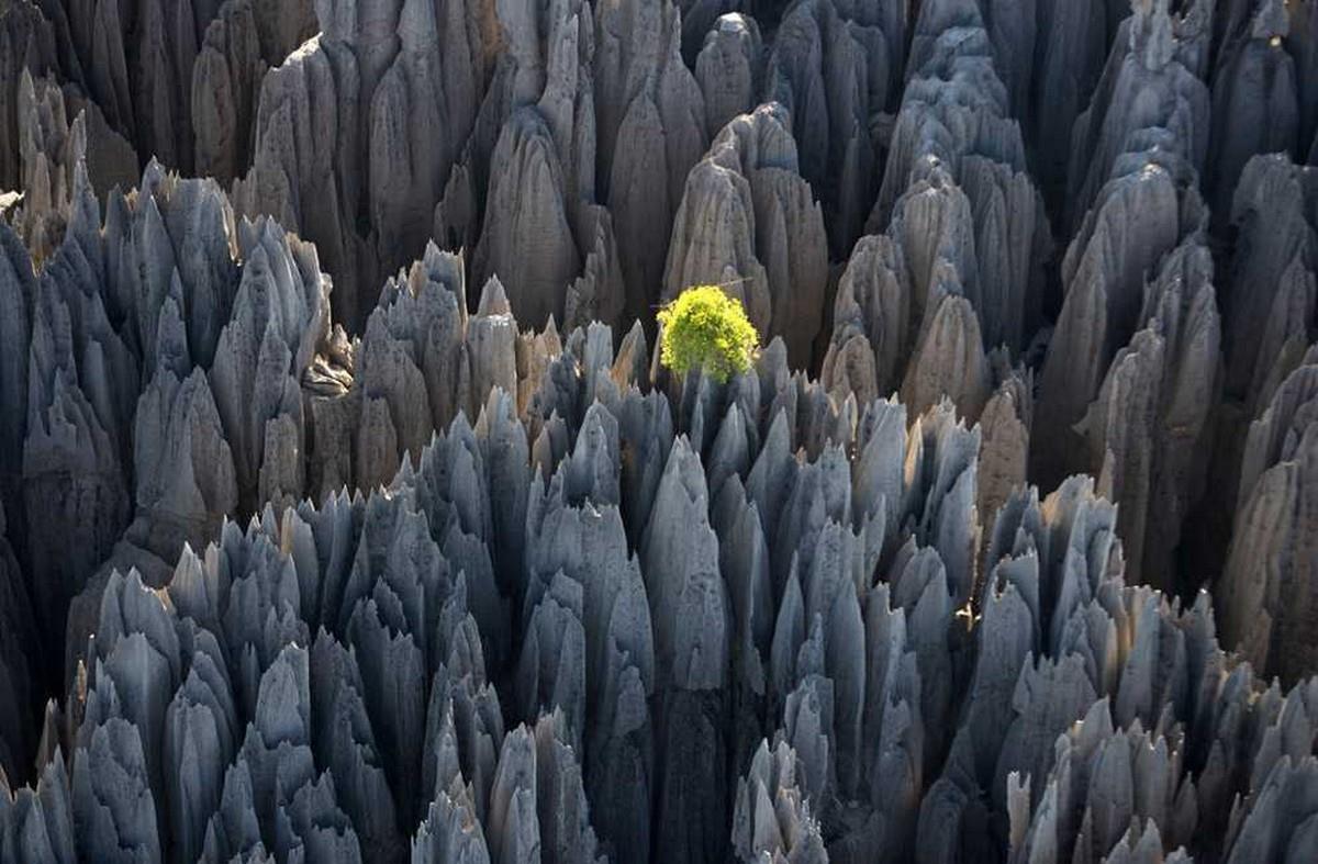 Цинги-де-Бемараха каменный лес на Мадагаскаре