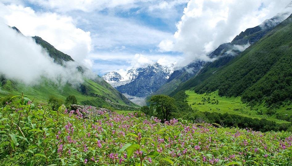 Vườn quốc gia Thung lũng các loài hoa (bang Uttarakhand)