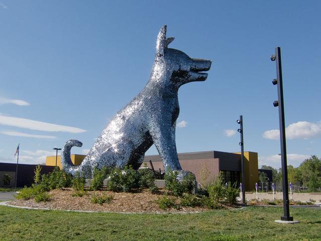 Bức tượng chú chó đang ngồi ở Denver, Mỹ