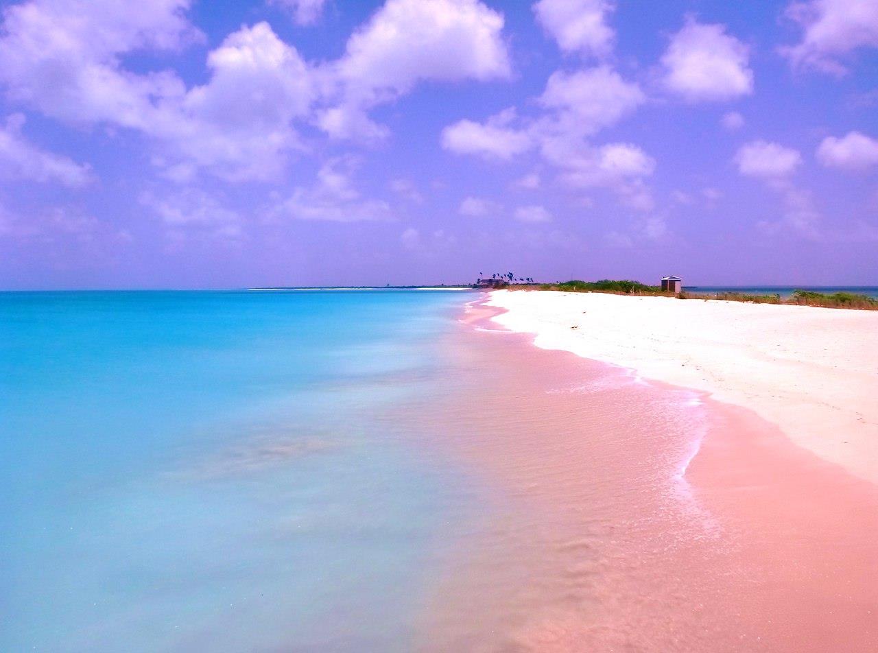 Bãi biển Pink Sands, Bahamas