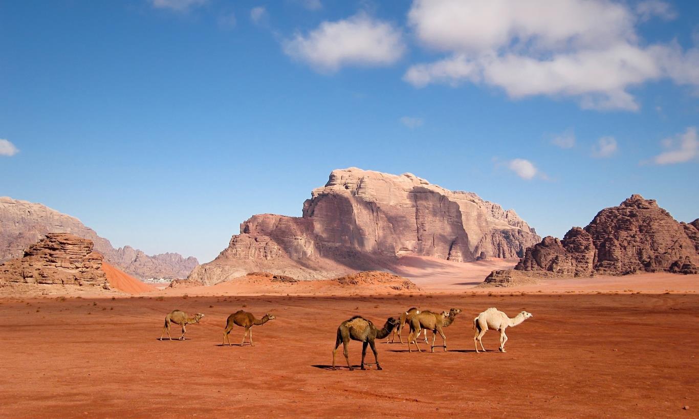 Sa mạc Wadi Rum