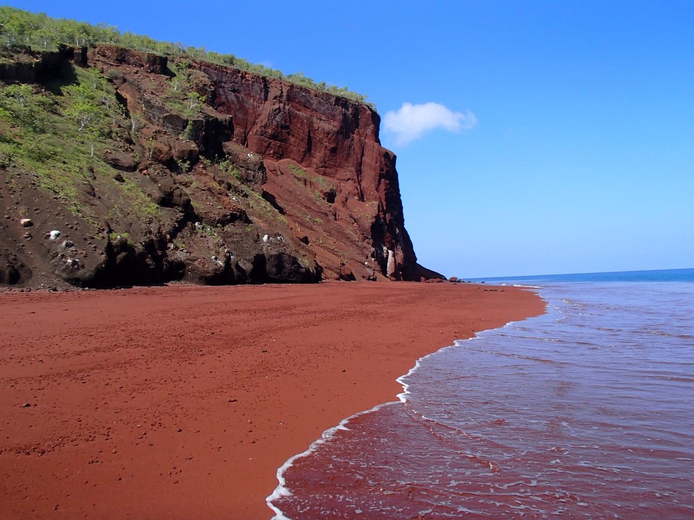 Image result for iceland red sand beach
