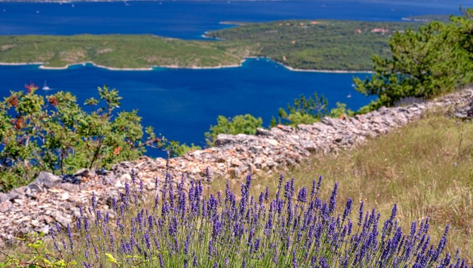 6. Đảo Hvar, Croatia