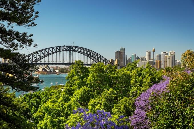 Những địa điểm chụp hình đẹp với các hàng cây phượng tím ở Sydney