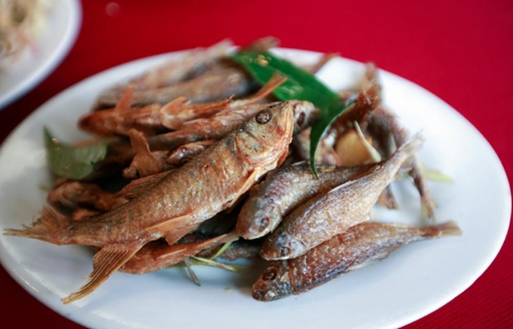 2. Cá suối Mộc Châu
